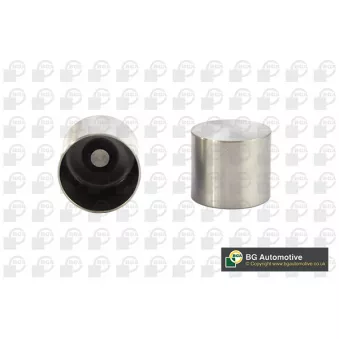 Poussoir de soupape BGA HL7368