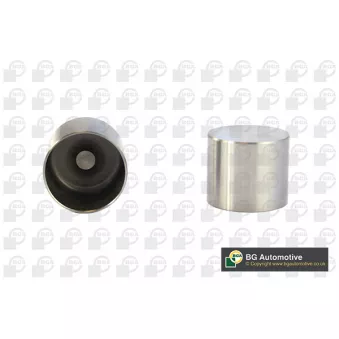 Poussoir de soupape BGA HL7372