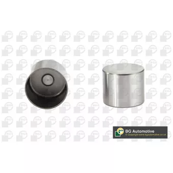 Poussoir de soupape BGA HL9501