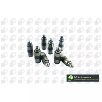 Poussoir de soupape BGA HL9520