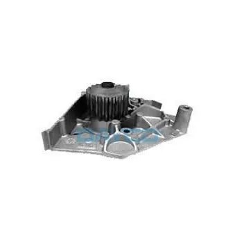 Pompe à eau DAYCO DP017