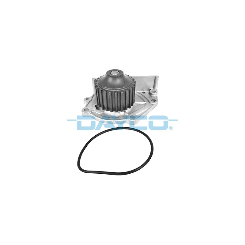 Pompe à eau DAYCO DP021