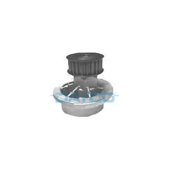Pompe à eau DAYCO DP022