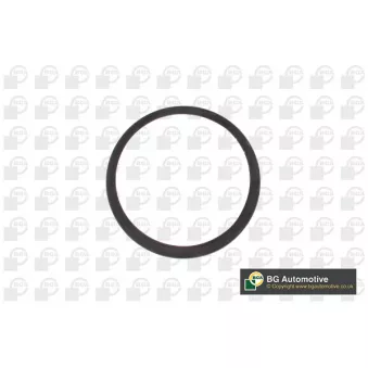 Bague d'étanchéité, vilebrequin BGA OS4220