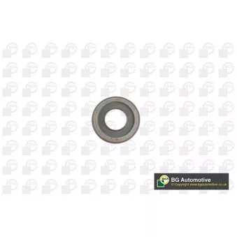 Bague d'étanchéité, vilebrequin BGA OS9120