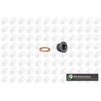 Vis-bouchon, carter d'huile BGA PK1401