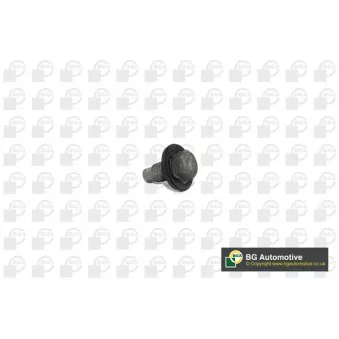 Vis-bouchon, carter d'huile BGA PK2305
