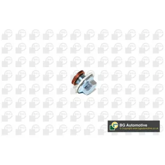 Vis-bouchon, carter d'huile BGA PK6300