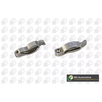 Culbuteur, distribution BGA RA0699