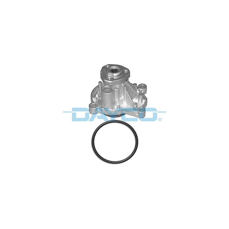 Pompe à eau DAYCO DP310