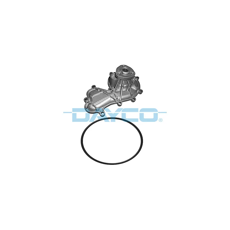 Pompe à eau DAYCO DP400