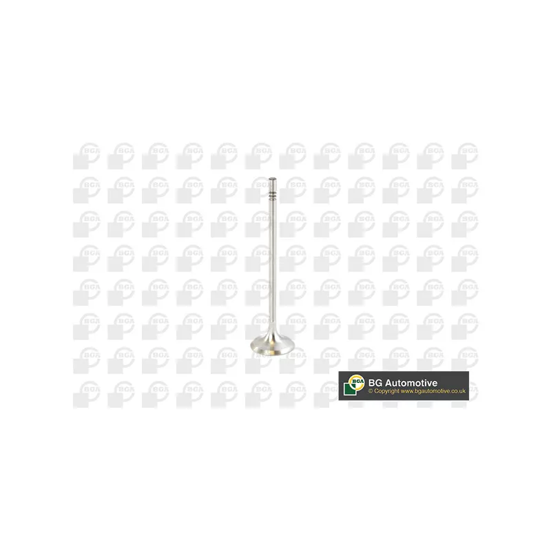 Soupape d'admission BGA V016839