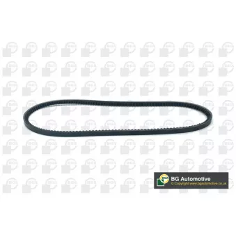 Courroie trapézoïdale BGA V10X913