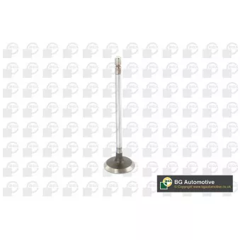 Soupape d'admission BGA V123002