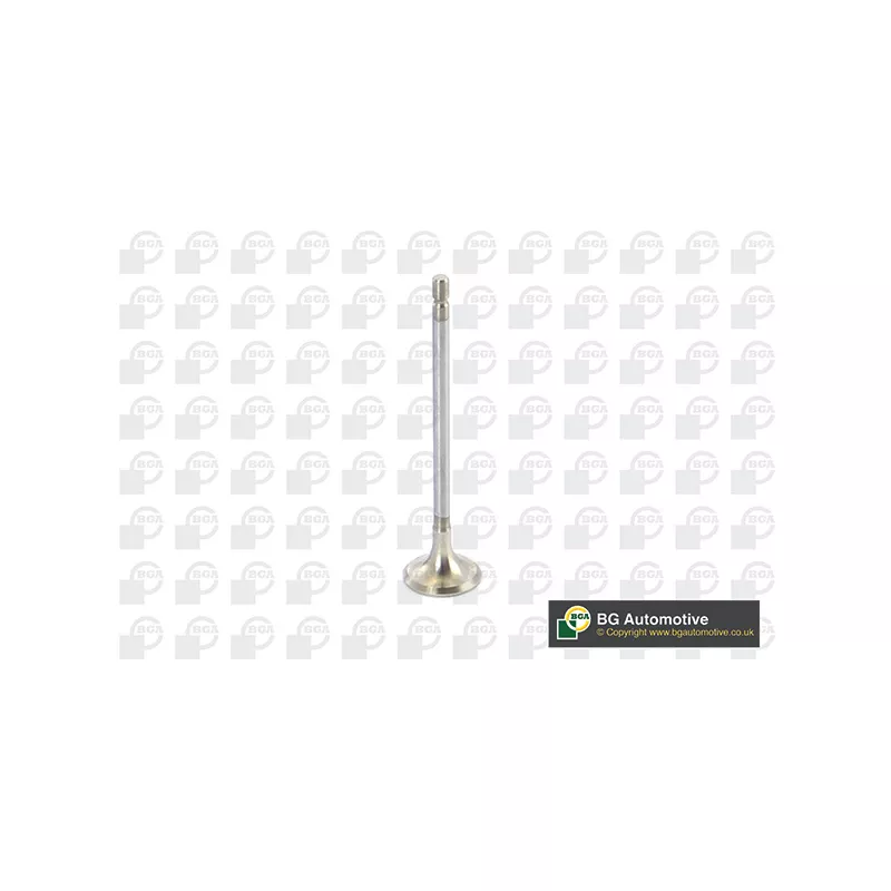 Soupape d'émission BGA V123003