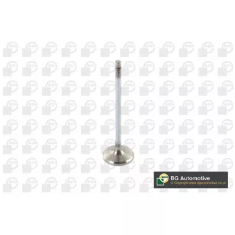 Soupape d'admission BGA V123821