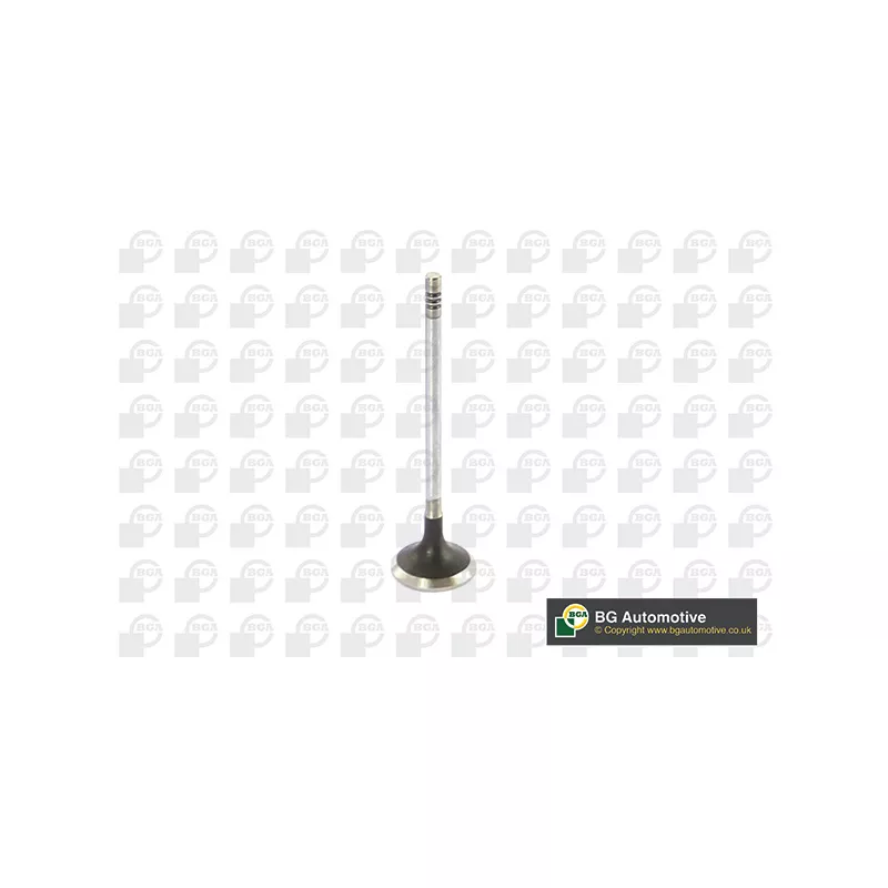 Soupape d'émission BGA V123822
