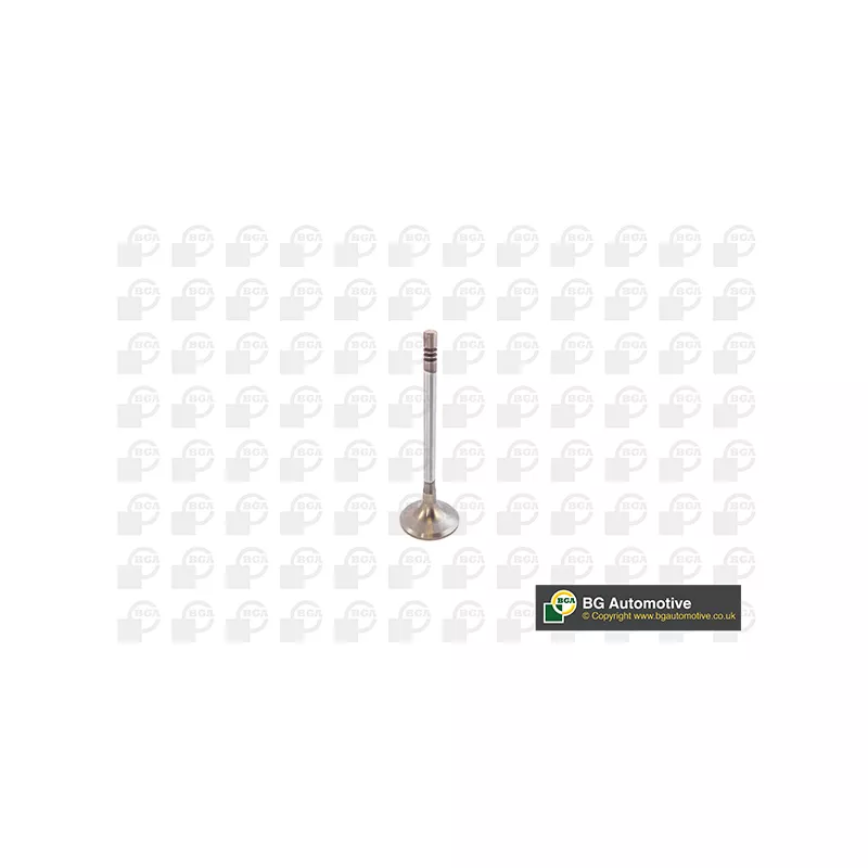 Soupape d'admission BGA V142049
