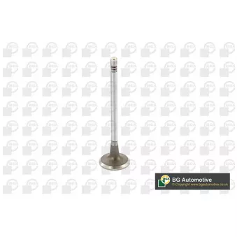 Soupape d'admission BGA V149481