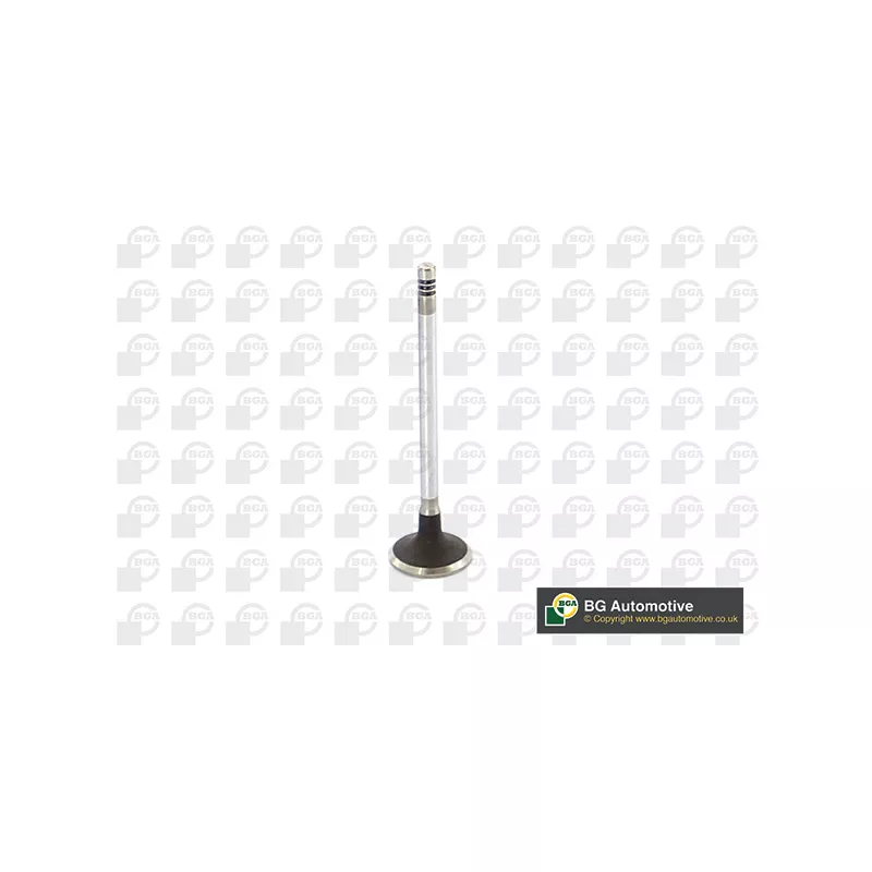 Soupape d'admission BGA V149486