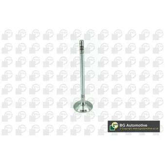Soupape d'admission BGA V200074
