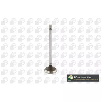 Soupape d'admission BGA V229199