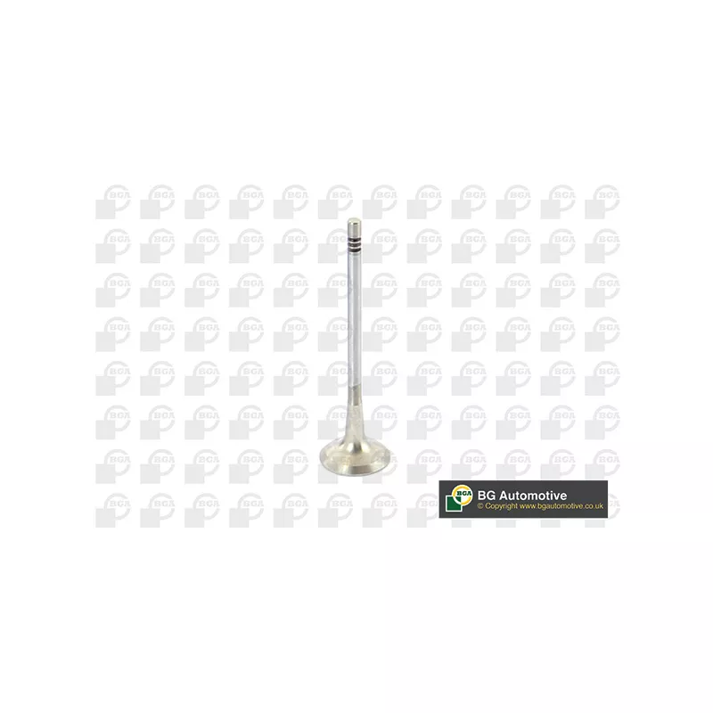 Soupape d'émission BGA V229667