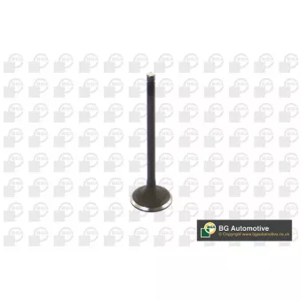 Soupape d'admission BGA V254711