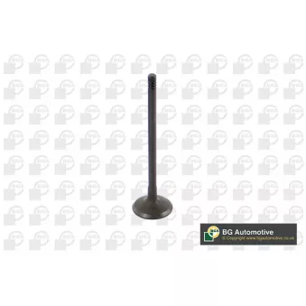 Soupape d'admission BGA V362211