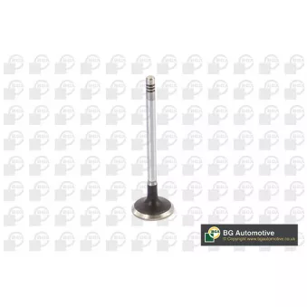 Soupape d'admission BGA V424831