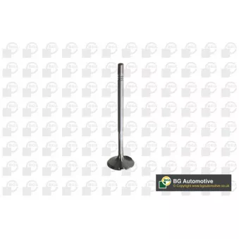 Soupape d'admission BGA V560013