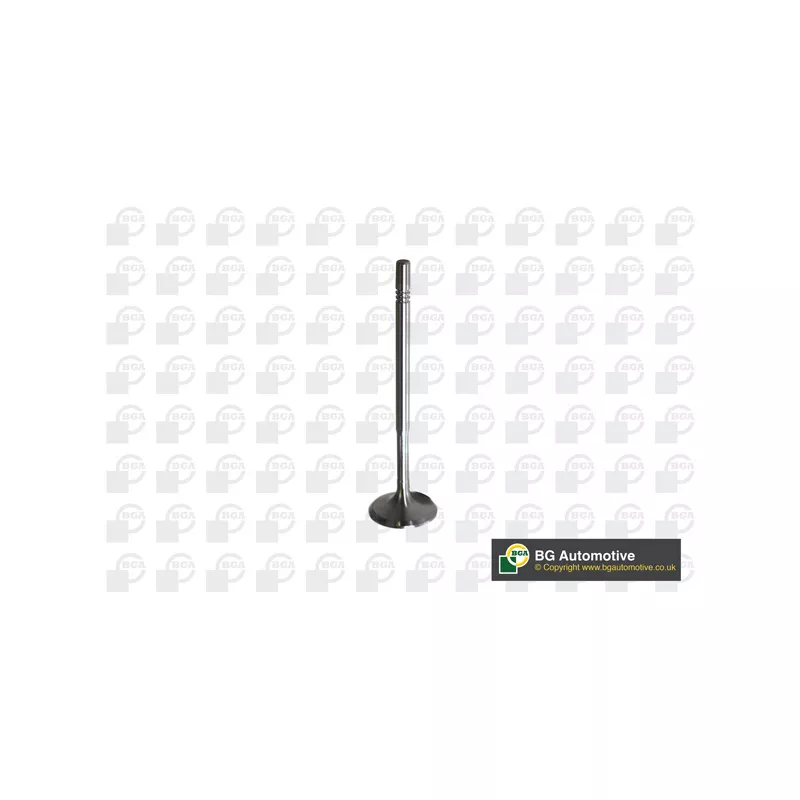 Soupape d'admission BGA V560013