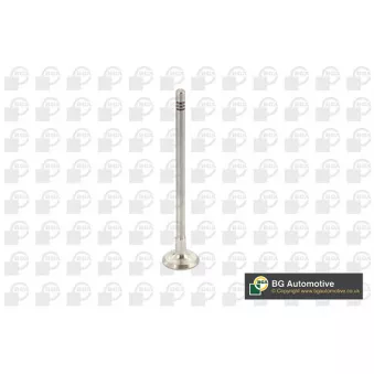 Soupape d'émission BGA V737875