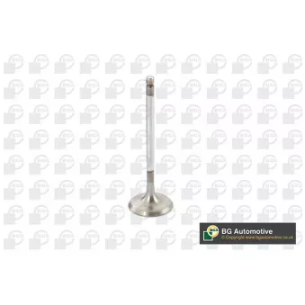 Soupape d'admission BGA V851291