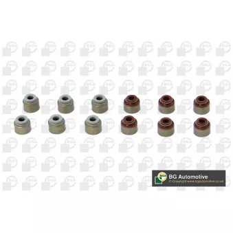 Jeu de joints d'étanchéité, tige de soupape BGA VK1389
