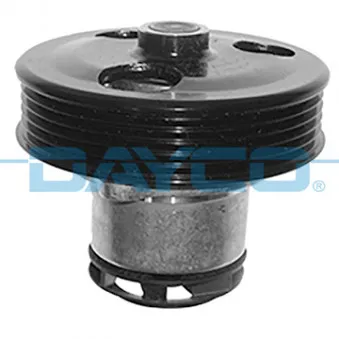 Pompe à eau DAYCO DP669