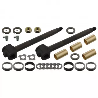 Kit d'assemblage, pivot de fusée d'essieu FEBI BILSTEIN 01120