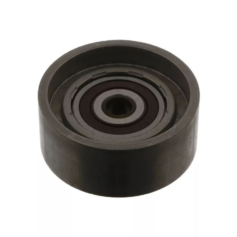 Poulie renvoi/transmission, courroie de distribution FEBI BILSTEIN 02560