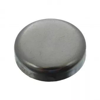 Bouchon de dilatation FEBI BILSTEIN 03201