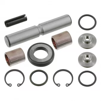Kit d'assemblage, pivot de fusée d'essieu FEBI BILSTEIN