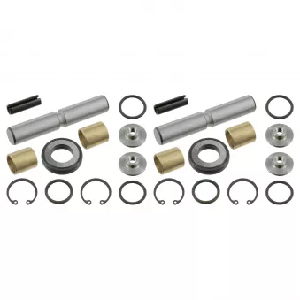 Kit d'assemblage, pivot de fusée d'essieu FEBI BILSTEIN