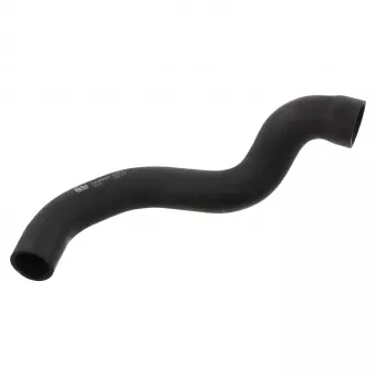 Durite de radiateur FEBI BILSTEIN 05251