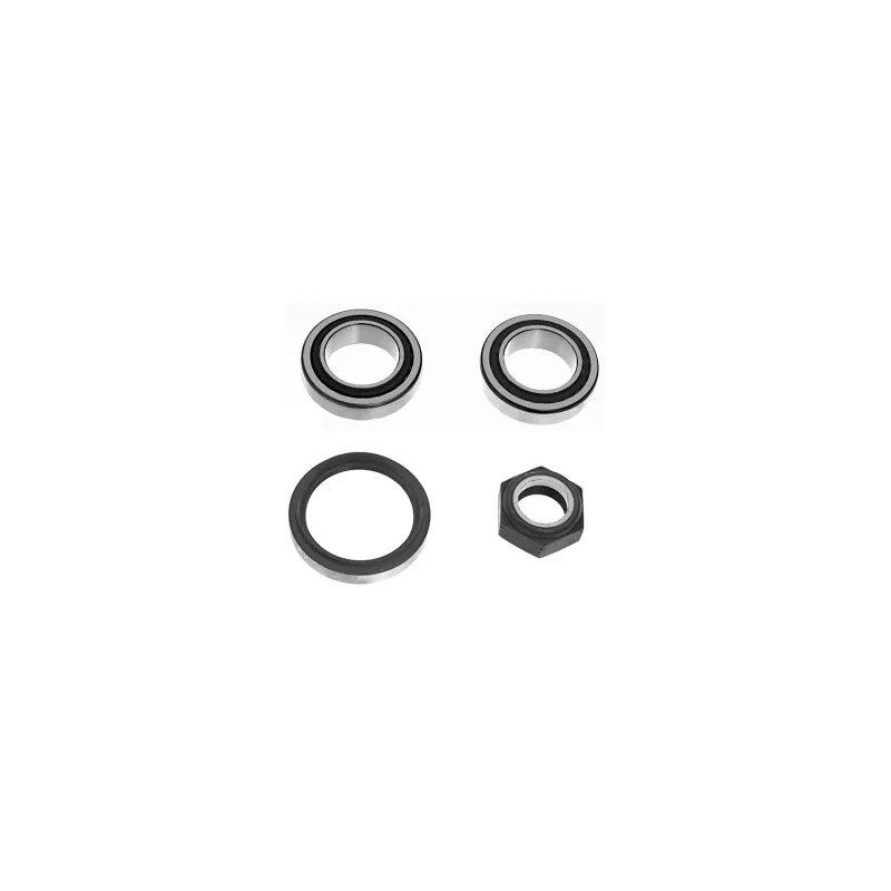Kit de roulements de roue avant droit FEBI BILSTEIN 05493