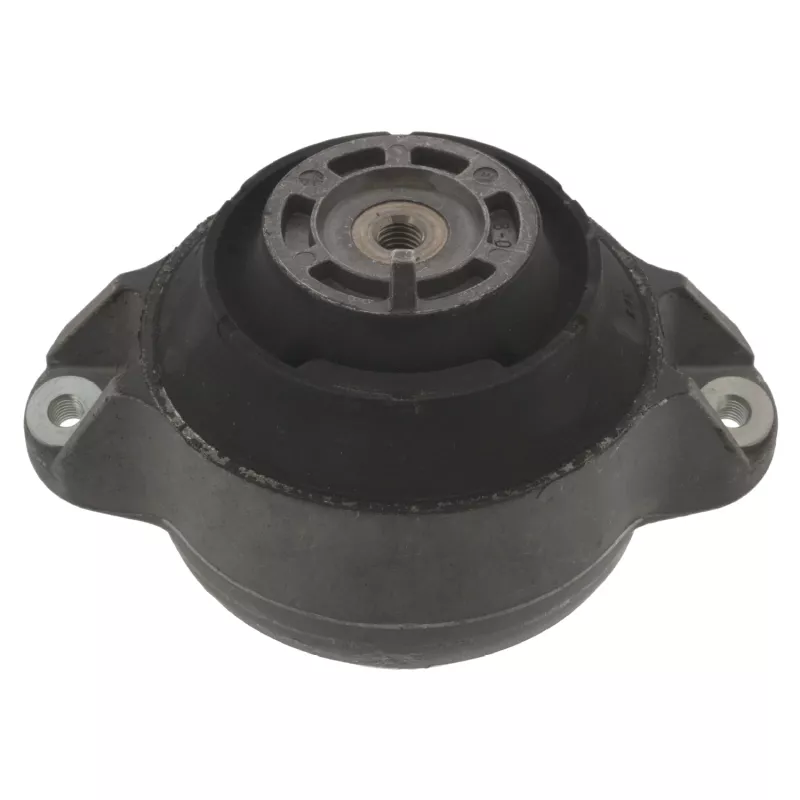 Support moteur FEBI BILSTEIN 06427