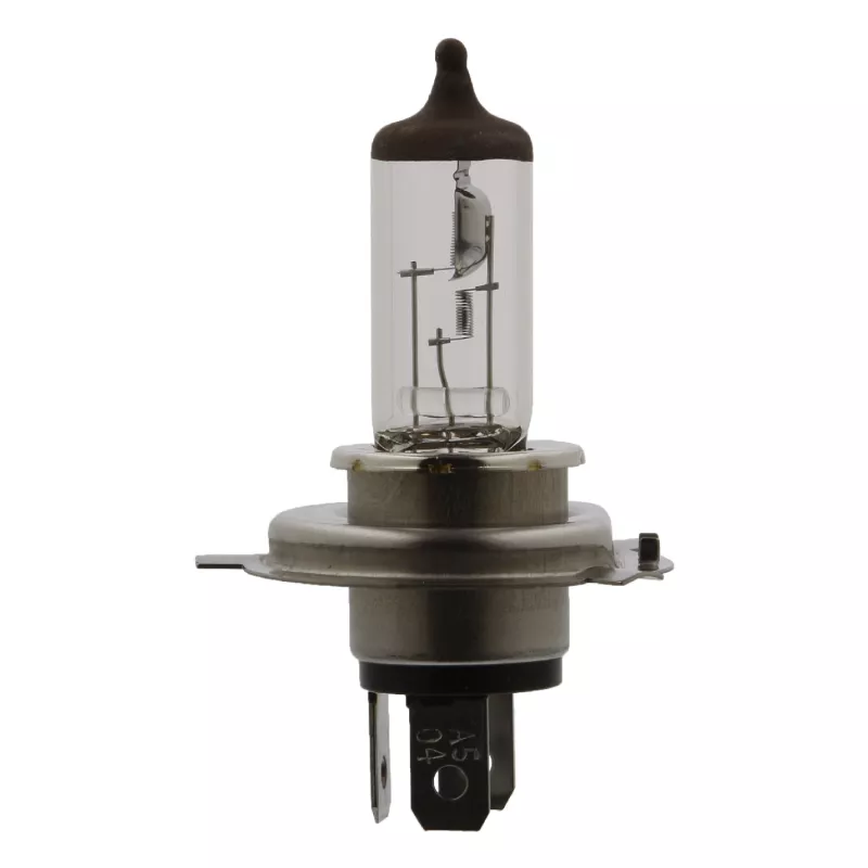 Ampoule, projecteur principal FEBI BILSTEIN 06580