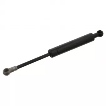 Amortisseur tringlerie, injection FEBI BILSTEIN 06598
