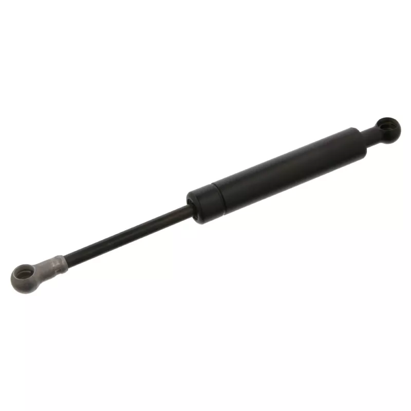 Amortisseur tringlerie, injection FEBI BILSTEIN 06598