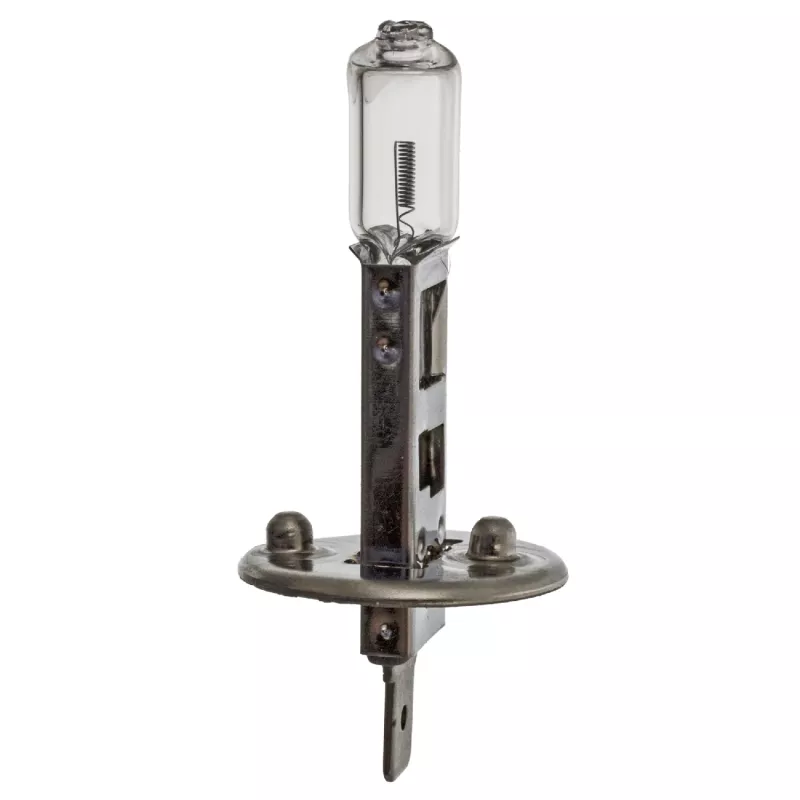 Ampoule, projecteur antibrouillard FEBI BILSTEIN 06665
