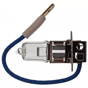 Ampoule, projecteur antibrouillard FEBI BILSTEIN 06698