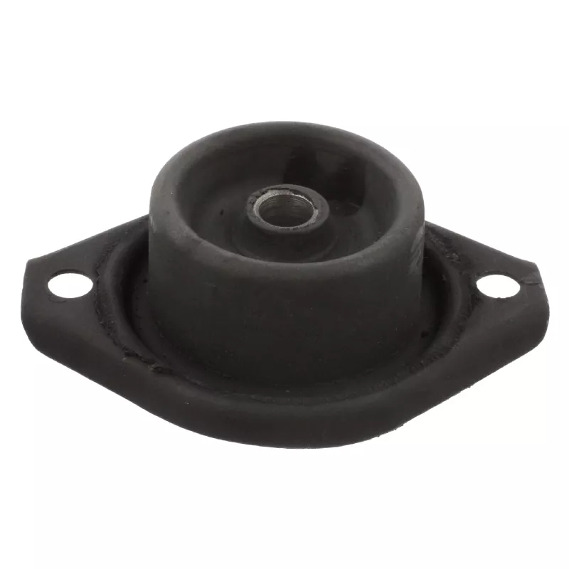 Suspension, boîte automatique arrière gauche FEBI BILSTEIN 07612